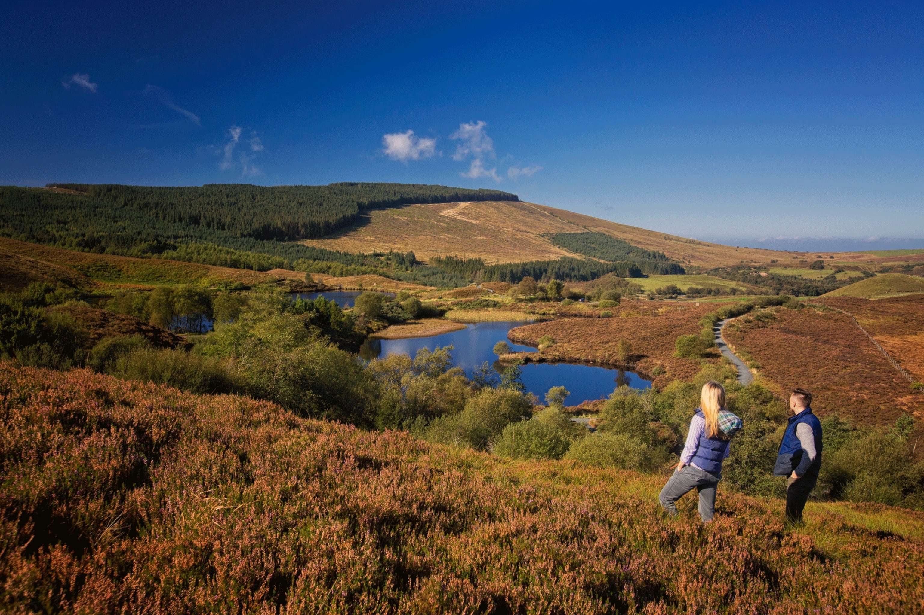 Sperrin Mountains, County Tyrone, Northern Ireland